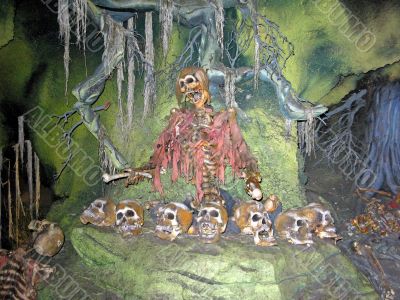 Skeleton