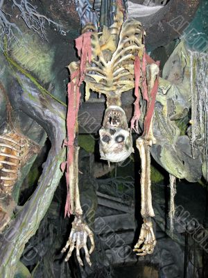 Skeleton upside down