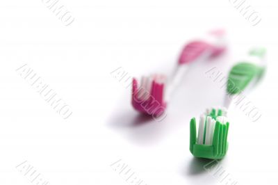 two toothbrushes