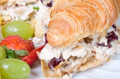 chicken salad sandwich