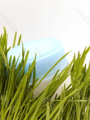 Cream and grass Cream and grass