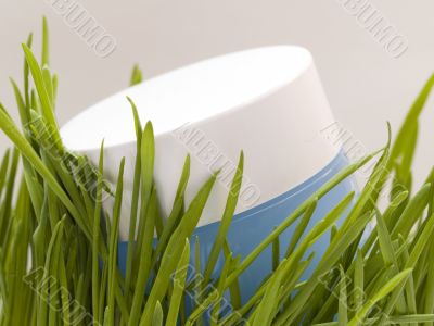 Cream and grass Cream and grass