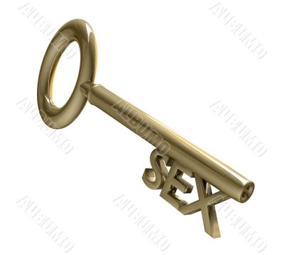 key in gold with SEX text 3d made