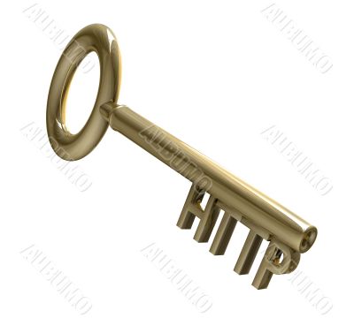 key in gold with HTTP text 3d made