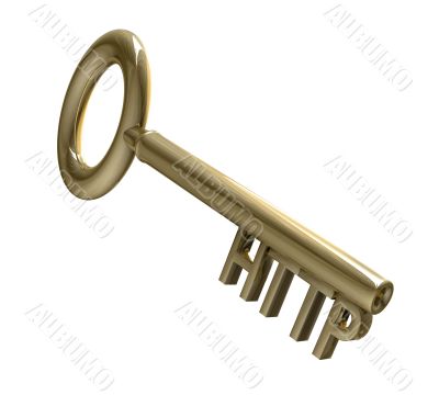 key in gold with HTTP text 3d made key in gold with HTTP text 3d made