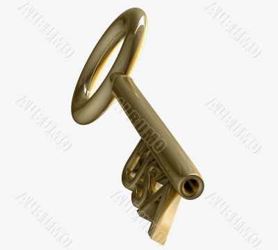 key in gold with USA text 3d made