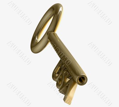 key in gold with USA text 3d made key in gold with USA text 3d made
