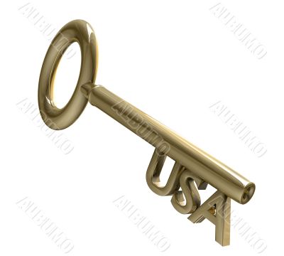 key in gold with USA text 3d made key in gold with USA text 3d made
