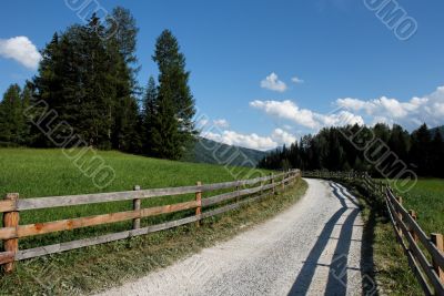 Alpine countryside road among meadows