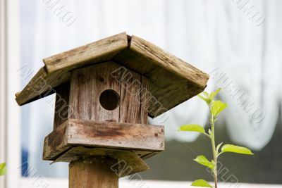 Starling house