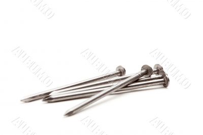 Construction Nails Isolated Construction Nails Isolated