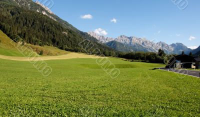 Alpine meadows landscape