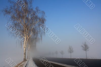 snow field in fog