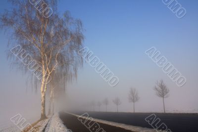 snow field in fog