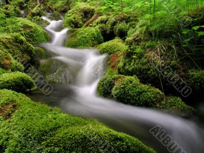 Mountain Stream Mountain Stream