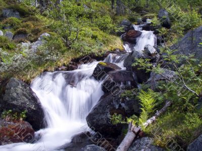 Mountain Stream