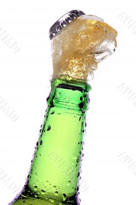 Beer being poured from a bottle over white