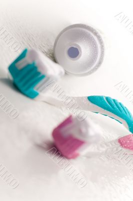 toothpaste and toothbrushes