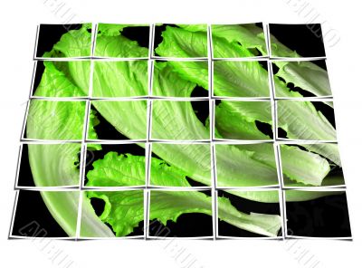 lettuce leaves collage