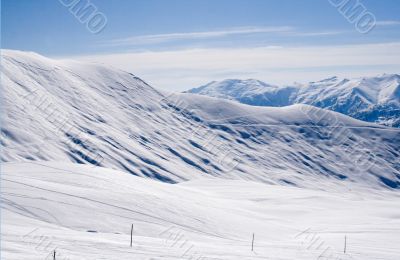 Snow Tops