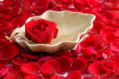 red Rose flower petals spa aromatherapy