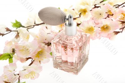 Perfume, pink bottle with cherry blossoms Perfume, pink bottle with cherry blossoms