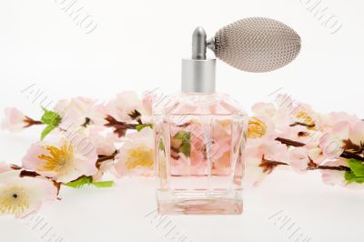 Perfume, pink bottle with cherry blossoms Perfume, pink bottle with cherry blossoms