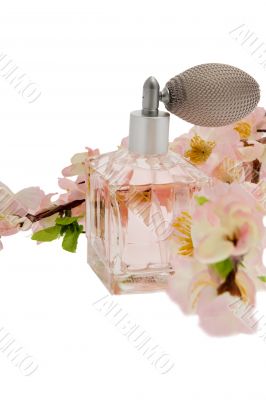 Perfume, pink bottle with cherry blossoms Perfume, pink bottle with cherry blossoms