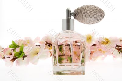 Perfume, pink bottle with cherry blossoms Perfume, pink bottle with cherry blossoms