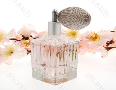 Perfume, pink bottle with cherry blossoms Perfume, pink bottle with cherry blossoms