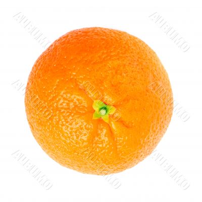 fresh orange