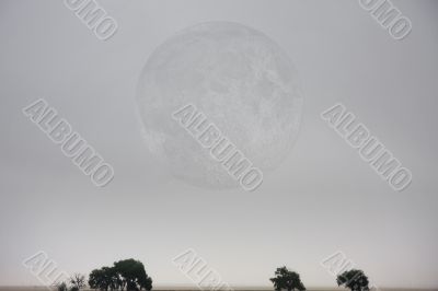 Minimalist Landscape Minimalist Landscape