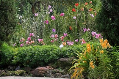 Botanical garden in Singapore