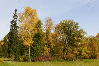 Landscape in the August