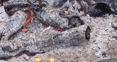 burning logs burning logs