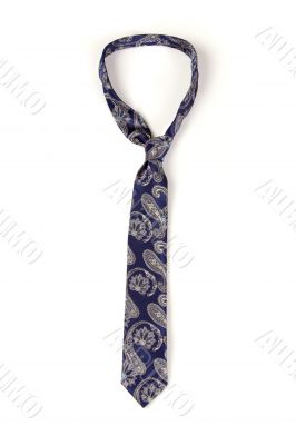Blue man`s necktie on white background