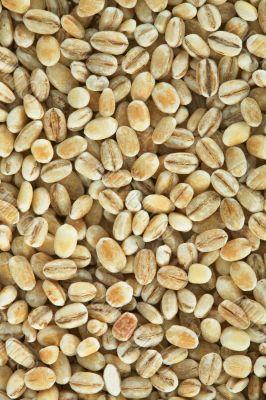 Pearl barley