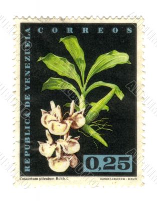 Old stamp from Venezuela with flower
