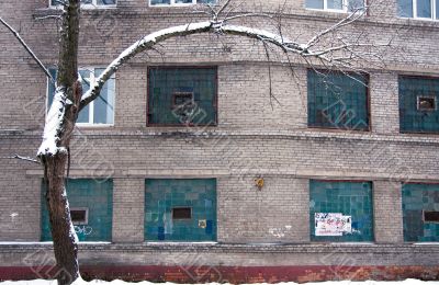 Tree beside buildings