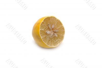 Half of the lemon 2