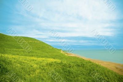 landscape