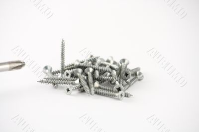 A bunch of Screws And Screwdriver