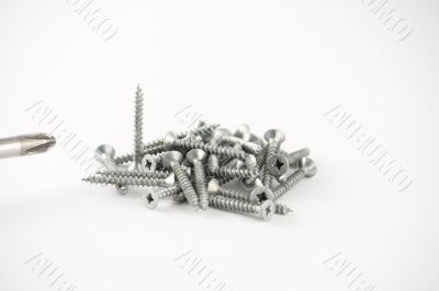 A bunch of Screws And Screwdriver A bunch of Screws And Screwdriver