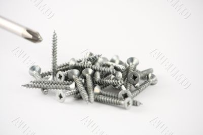 A bunch of Screws And Screwdriver