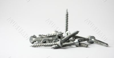 A bunch of Screws And Screwdriver