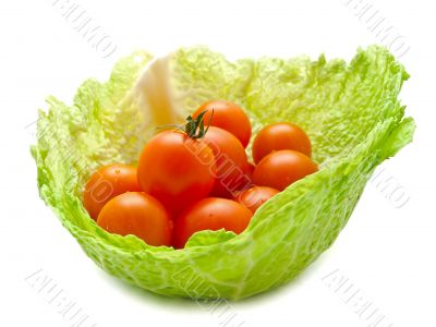 tomatoes in cabbage tomatoes in cabbage