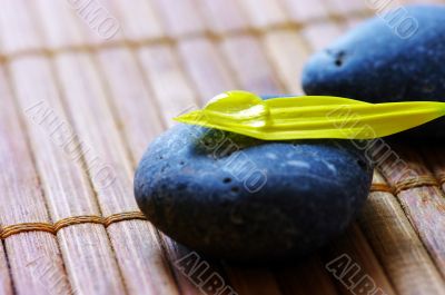 spa stones with flower petals