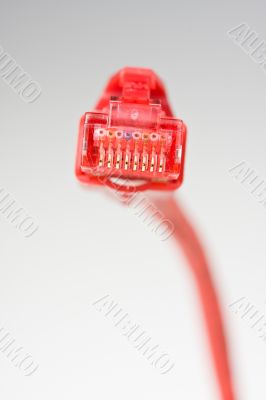network network