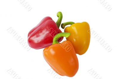 bell peppers