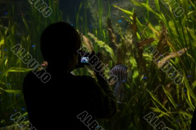 Aquarium Aquarium